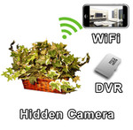 WiFi Plant Hidden Camera Spy Camera Nanny Cam